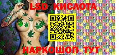 apvp Краснознаменск