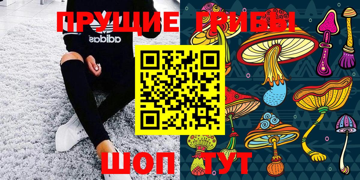 Псилоцибиновые грибы Magic Shrooms  Вход с VPN  Галлюциногенные грибы Cubensis  Ирбит 